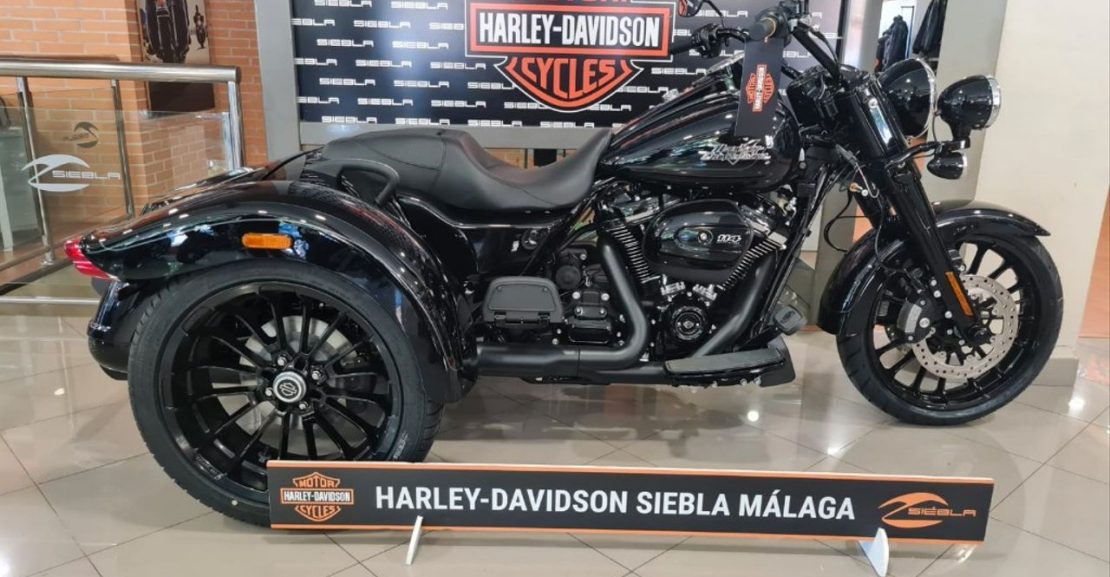 HARLEY DAVIDSON Freewheeler