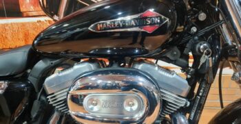 HARLEY DAVIDSON Sportster 883 Low